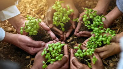Przykłady ekologicznych praktyk w polskich firmach cleaningowych